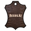 Acces