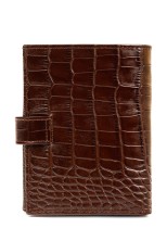 Портмоне Roberto Tonelli RT00302-355 коричневое