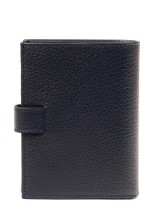 Портмоне Roberto Tonelli RT00302-1170 синие