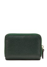 Кошелек Roberto Tonelli RT0207-1005 зеленый