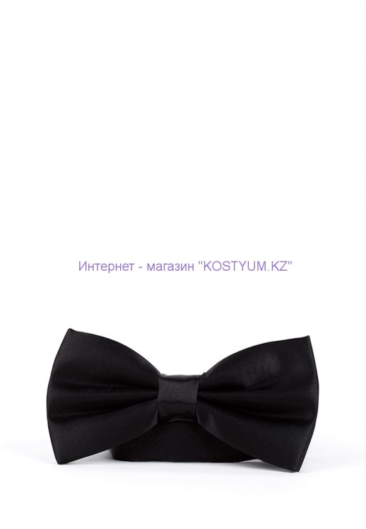 Мужская бабочка 