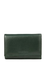 Кошелек Roberto Tonelli RT204-1005 зеленый