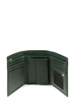 Кошелек Roberto Tonelli RT204-1005 зеленый