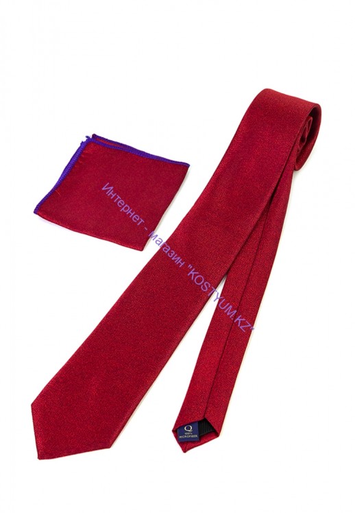 Мужской галстук Quesste g-03 красный