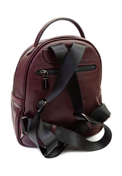Рюкзак Vanessa Scani VS23-4 бордовый