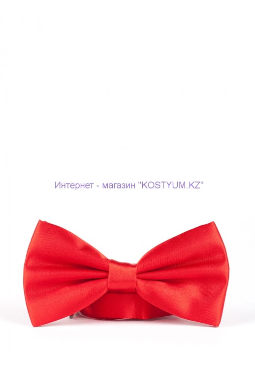 Мужская бабочка красная