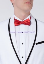 Мужская бабочка красная