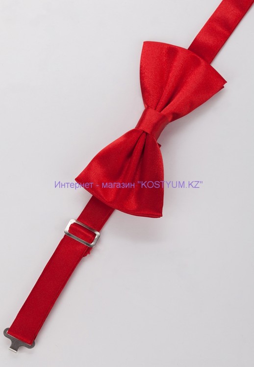 Мужская бабочка красная