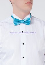 Мужская бабочка бирюзовая