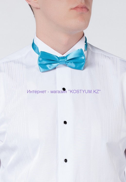 Мужская бабочка бирюзовая