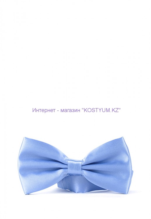 Мужская бабочка голубая