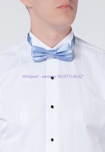 Мужская бабочка голубая