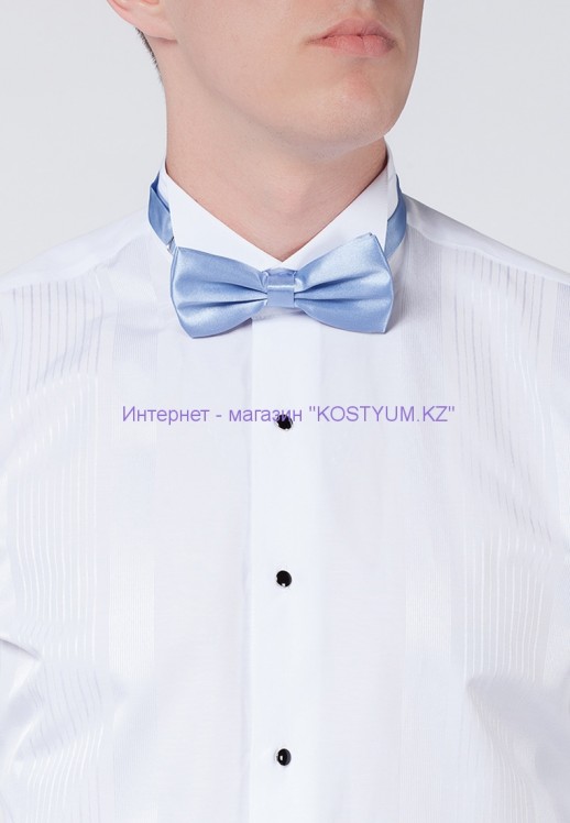 Мужская бабочка голубая