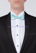 Мужская бабочка тиффани 