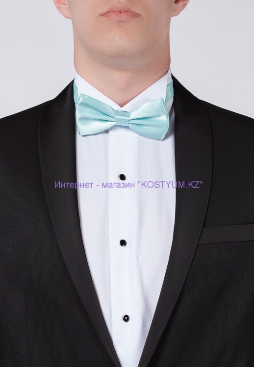 Мужская бабочка тиффани 