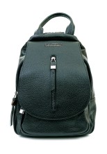 Рюкзак Roberto Tonelli RT025-1005 зеленый