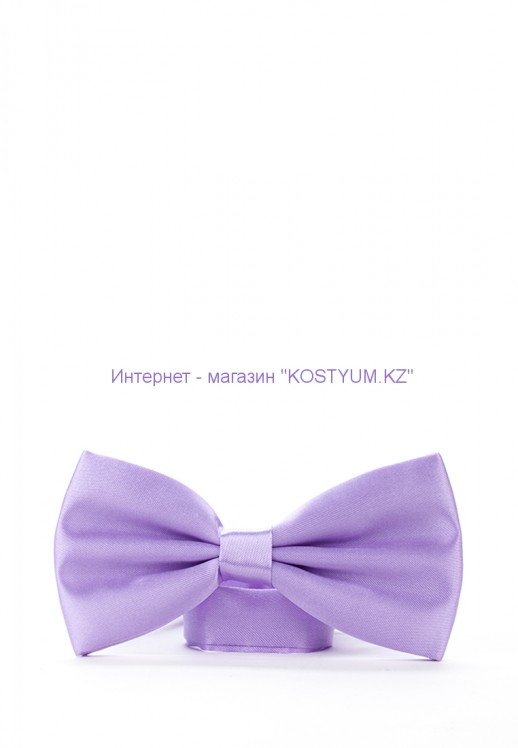 Мужская бабочка сиреневая