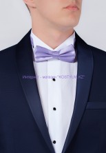 Мужская бабочка сиреневая