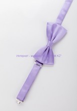 Мужская бабочка сиреневая