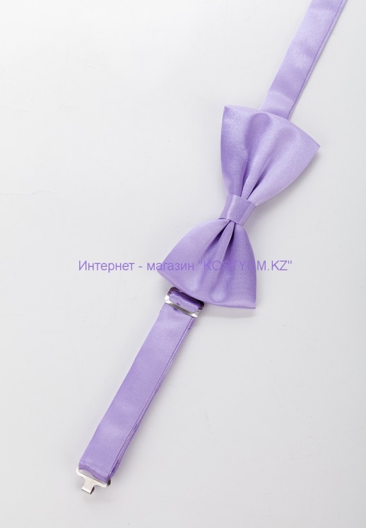 Мужская бабочка сиреневая