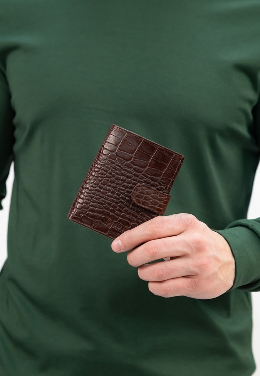 Портмоне Roberto Tonelli RT00304-355 коричневое