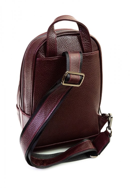 Рюкзак Vanessa Scani VS18-4 бордовый