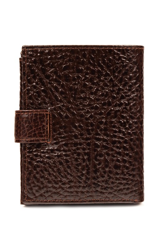 Портмоне Roberto Tonelli RT00304-886 коричневое