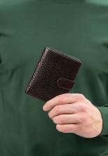 Портмоне Roberto Tonelli RT00304-886 коричневое