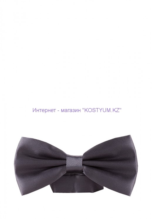 Мужская бабочка серая