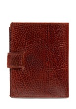 Портмоне Roberto Tonelli RT00304-896 бордовое