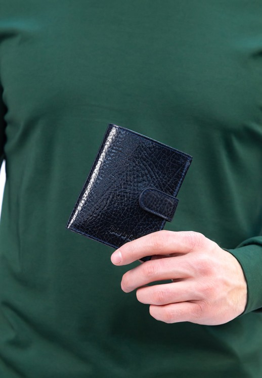 Портмоне Roberto Tonelli RT0304-894 синие