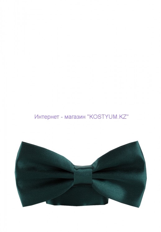 Мужская бабочка тёмно-зелёная