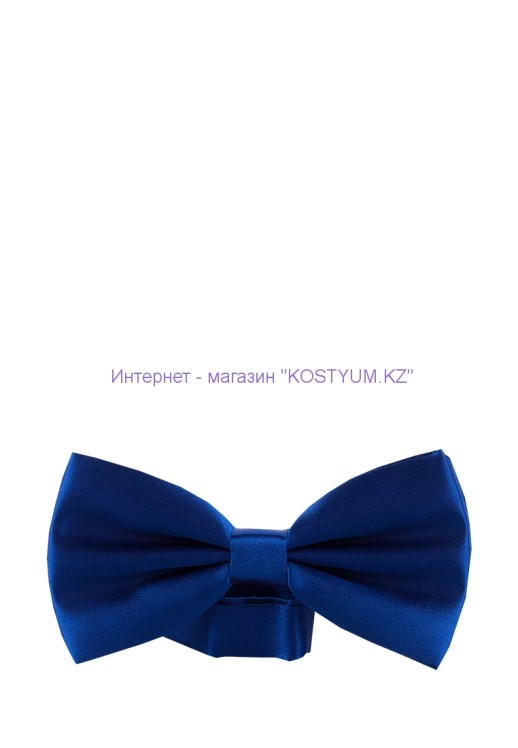 Мужская бабочка синяя