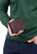 Портмоне Roberto Tonelli RT305-886 коричневое