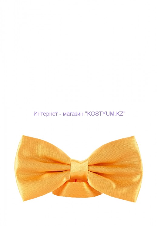 Мужская бабочка жёлтая