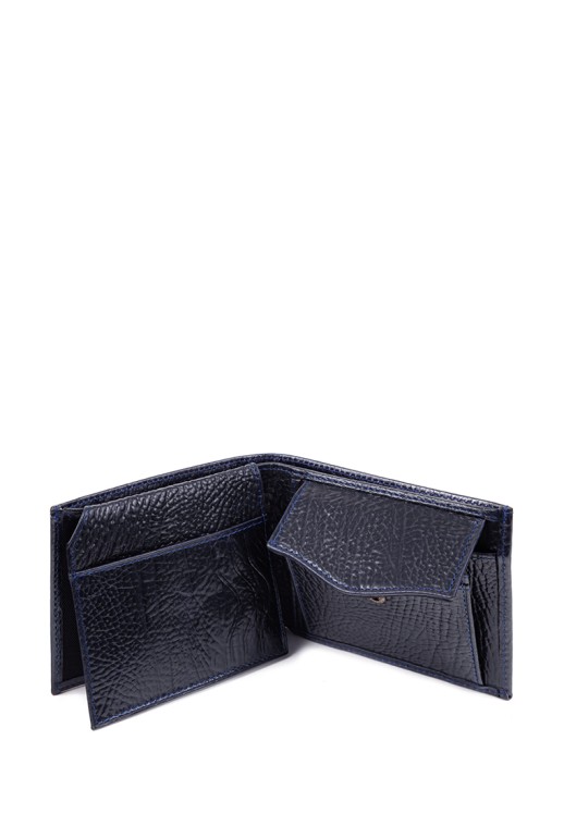 Портмоне Roberto Tonelli RT0305-894 синие