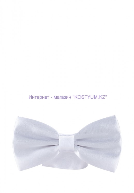 Мужская бабочка белая