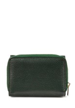 Кошелек Roberto Tonelli RT0206-1005 зеленый