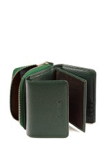 Кошелек Roberto Tonelli RT0206-1005 зеленый