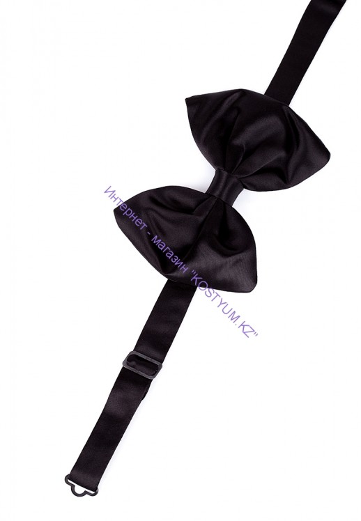 Мужская бабочка чёрная большая