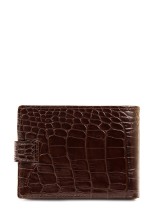 Портмоне Roberto Tonelli RT00303-355 коричневое